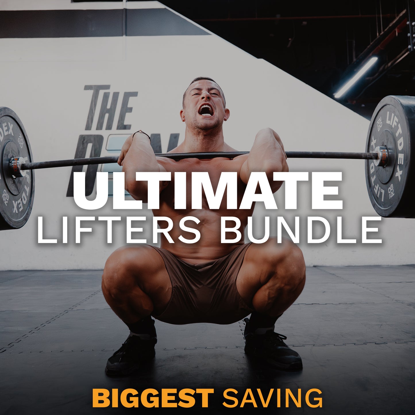 
                  
                    The Ultimate Lifters Bundle
                  
                